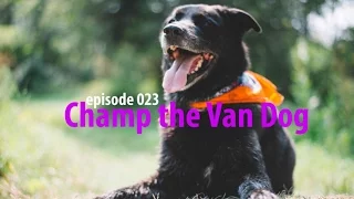 Champ Loves the Van – Van Life 023