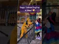 Lagu 🐾🐶✨ Happy National Dog Day, Pluto! ✨🐶🐾 #NationalDogDay #PlutoDog #Disneyland #DisneyDogs