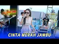 Download Lagu CINTA MERAH JAMBU - GADIS MURYANI - WONGJOWO X PM AUDIO LIVE LAPANGAN DOLOPO
