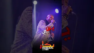 قلبي ياطيب الفنان محمد علاء 