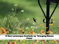Sept 15 2025 - A New Landscape Aesthetic by Bringing Nature Home with Cindy McInturff