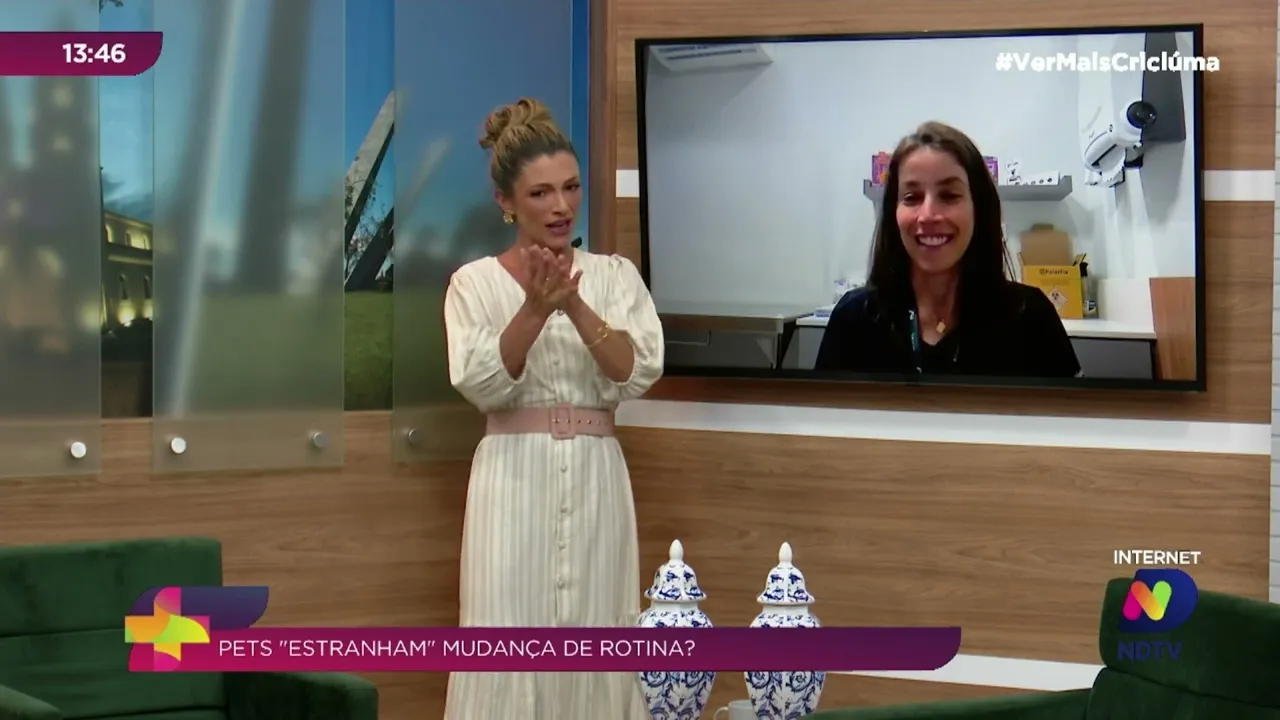 Entendendo o comportamento dos animais em situações fora da rotina