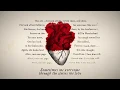 Alice by Heart BOOK TRAILER
