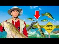 Download Lagu Fishing in ALLIGATOR INFESTED Water!