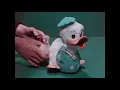 Download Lagu Animal Behavior: The Mechanism Of Imprinting (1977)
