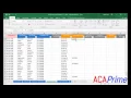 ACA Reporting Template Tutorial by ACA Prime