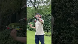                                                                        دندنها