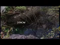 Metronomy - Hold me tonight (ft. Porridge Radio) (Lyric Video)