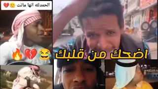 هو عمل اي في الدنيا دي     مقالب كوميديا  ضحك فيديوهات مضحكة جدا جدا    دندنها