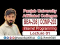BBA-208 COMP-203 Lecture 1 Introduction to programming visual programming Hussain Sajid