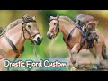 Making a Fjord Horse Drastic Custom - Resculpt Model Horse Painting Tutorial