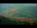 Great Smoky Mountains Autumn 8K UHD – Luminous Blue Ridge Fall Foliage & Panoramas HDR