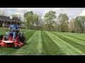 Husqvarna Mz52 Laying Stripes