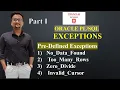 Exceptions in SQL PLSQL Types of Exceptions in Oracle PLSQL
