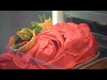 Welcome to Villa Dolce Authentic Italian Gelato Sorbetto - Wholesale Gelato Gelato Display Cases