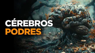 Dennews 67 e 68 - A sua quinta-feira filosófica