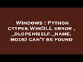 Windows Python ctypes WinDLL error - dlopen self