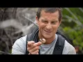 Lagu Ik krijg advies over geestelijke gezondheid van een onverwachte bron... Bear Grylls