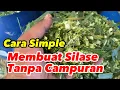 Download Lagu Cara Mudah Membuat Silase Rumput Tanpa Campuran Apapun