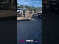 The Sarasota County Sheriff s Office had to wrangle a 10-foot long alligator in front of a 7-Eleven