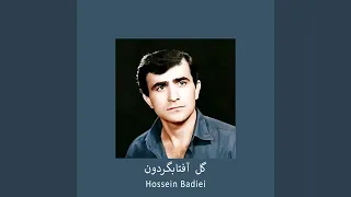گل آفتابگردون دندنها