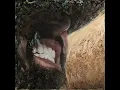 Desde Que Te Tengo - Carín León
