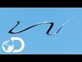 Download Lagu The Amazing Paradise Flying Snake | Wildest Islands Of Indonesia