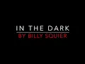 BILLY SQUIER - IN THE DARK (1981) LYRICS