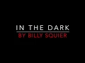 BILLY SQUIER - IN THE DARK 1981