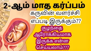 second month pregnancy in tamil pregnancy tips month by month