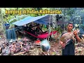 Download Lagu Tidur di hutan Kalimantan 2 hari, ‼️ berburu pelanduk ‼️ dan membuat tenda ,di hantam hujan deras 