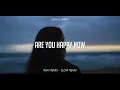 SLOW REMIX !!! Riski Remix - Are You Happy New - ( Slow Remix )