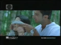 Indosiar Signature Mild 22 43