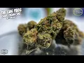 Sublime - Grape Cream Cake Strain Review