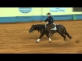 2011 AQHA World Show Senior Reining