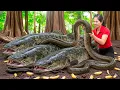 Lagu Harvesting Super Cosmic Banana Fish \u0026 Go to Market Sell | Giant fish and eels nest in the forest