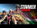 Download Lagu 🇸🇷 Suriname Peacock Bass Fishing 🎣 | Stuwmeer Brokopondo Adventure