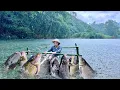 Download Lagu Fishing Skills on a Rainy Day-Single Mother Uses Traditional Fishing Techniques to Catch Giant Carp