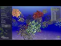 NVIDIA fish vulkan vs opengl