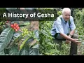 Download Lagu A History of Gesha and the Coffee Farm That Made it Famous