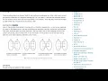 Baozi Training Leetcode 290 solution Word Pattern