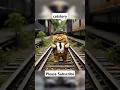 Download Lagu Persian cat crossing the railroad tracks #catvideos #cat #turkishcat #catshorts #shortvideo #shorts