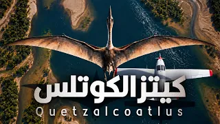 أضخم حيوان حلق في سماء الأرض على مر التاريخ