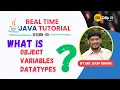 JAVA Tutorial Session 09 Overview of Object Variables Datatypes Primitive Datatypes