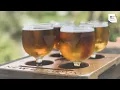 5 Best Craft Breweries in California and Favorite Tourist Destination