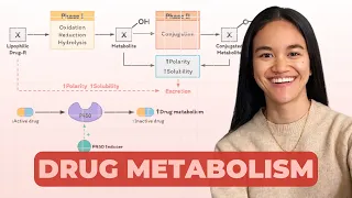 Drug Metabolism - Pharmacokinetics | Pharmacology