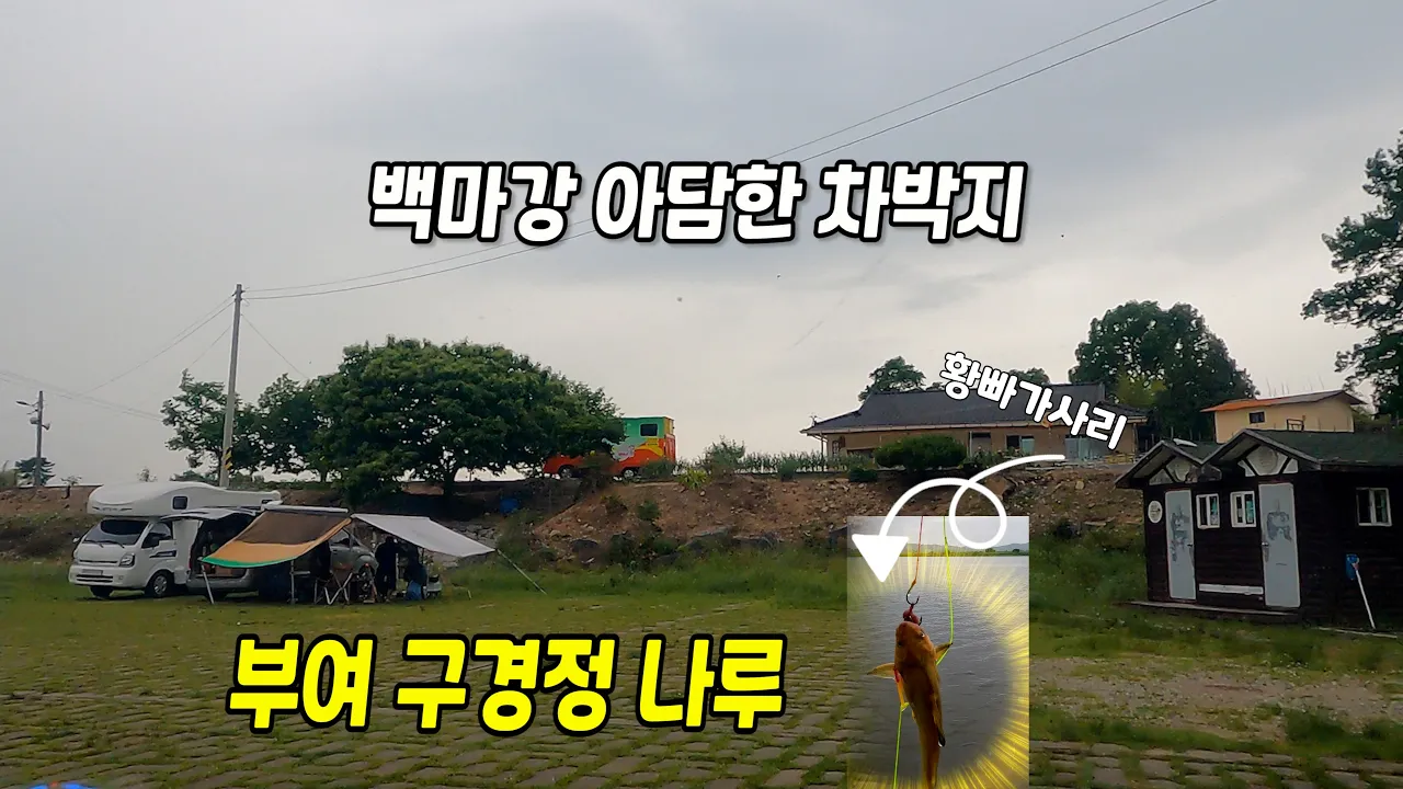 부여 구경정나루 무료 캠핑 차박지  빠가사리 대박 조황! サムネイル