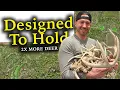 How to Design a Property to HOLD MORE DEER Whitetail Layout Guide