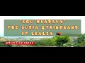 Download Lagu 'Egu Headava' - Buria Stringband of Lealea, Central Province, PNG  🇵🇬