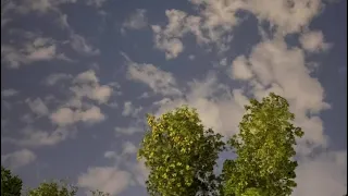 فلاح يوم البرق لاح 